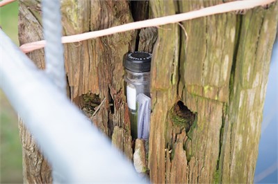 Geocaching and Adventure LAB - MICE Service Group