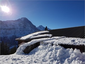 Rasthysi Grindelwald