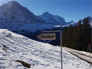 Rasthysi Grindelwald