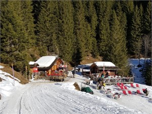 Rasthysi Grindelwald