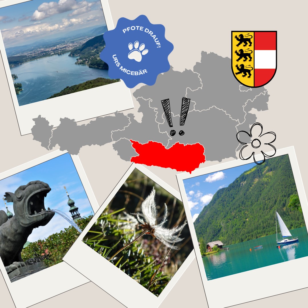 K&auml;rnten erleben: Die ideale Seminar-Destination f&uuml;r unvergessliche Events