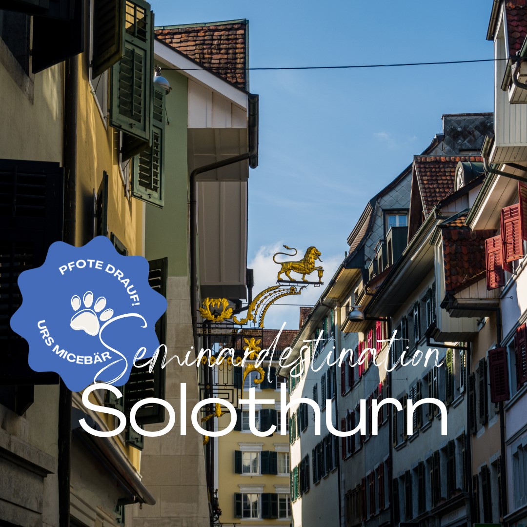 Seminardestination Solothurn &ndash; Der Insider-Tipp f&uuml;r Leadership-Meetings: Wo Barock auf Business trifft!