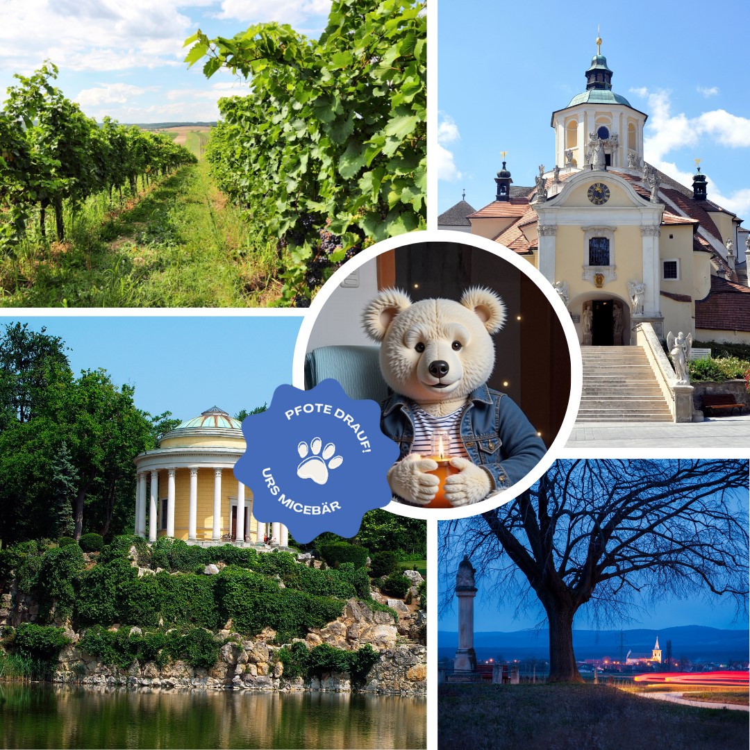 Burgenland erleben: Deine perfekte Seminar-Destination mit MICEb&auml;r-Charme